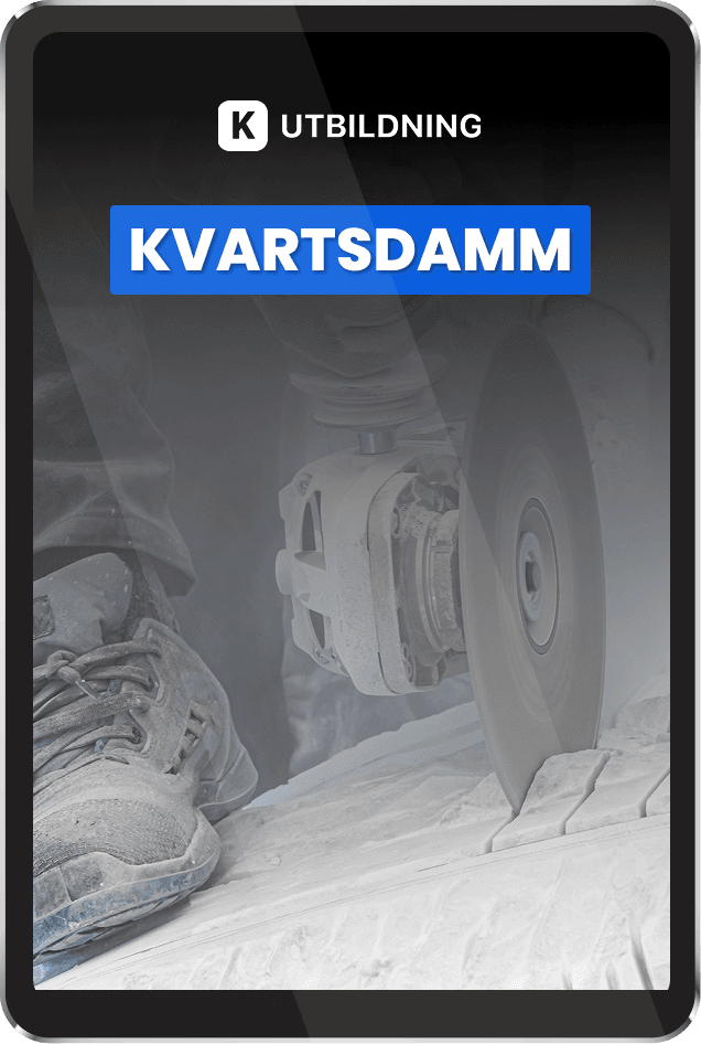 Utbildning i kvartsdamm