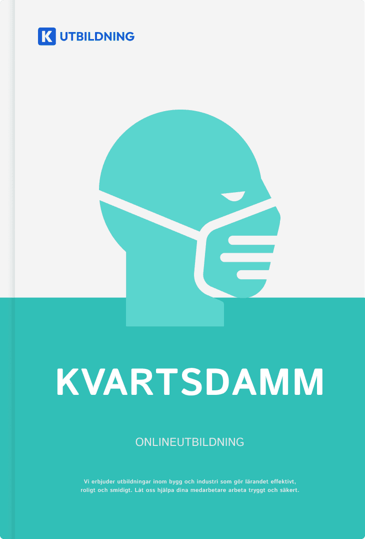 Kvartsdammsutbildning