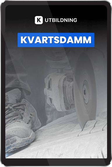 Utbildning i kvartsdamm